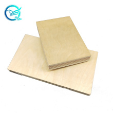 15mm hardwood core white uv painting birch plywood panel